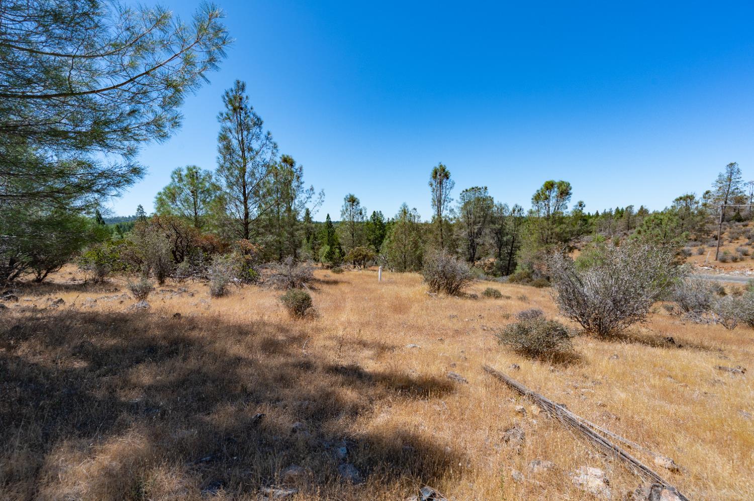 12141 Newtown Road Nevada City, CA 95959 - Photo 12 of 32