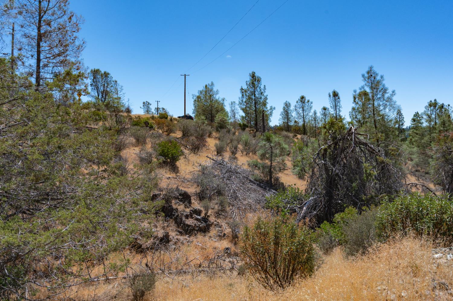 12141 Newtown Road Nevada City, CA 95959 - Photo 13 of 32