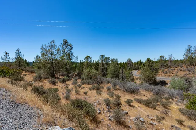 a view of a city with lush green forest