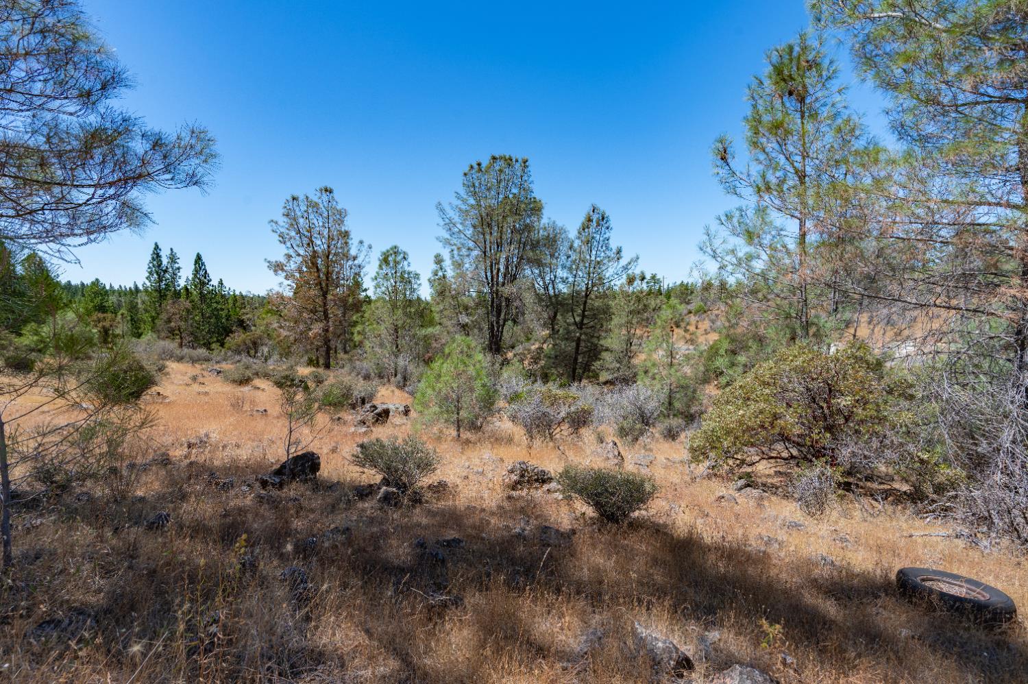 12141 Newtown Road Nevada City, CA 95959 - Photo 15 of 32