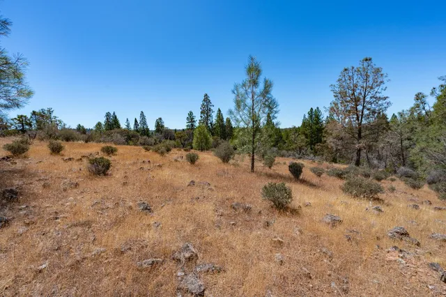 a view of a covered with trees in the background