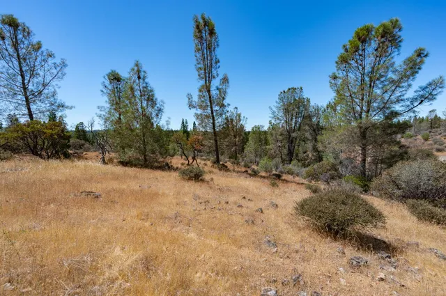 a view of a covered with snow in the background