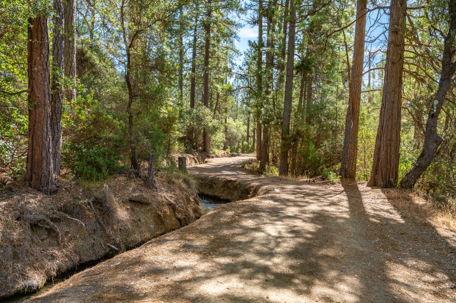 12141 Newtown Road Nevada City, CA 95959 - Photo 22 of 32