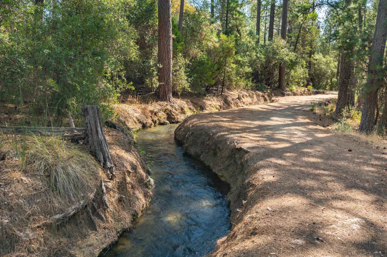 12141 Newtown Road Nevada City, CA 95959 - Photo 23 of 32