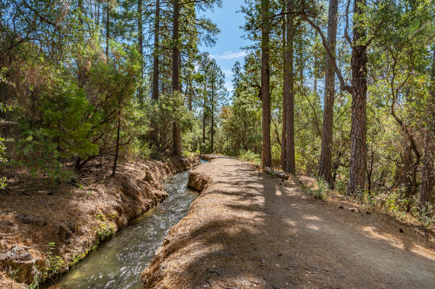 12141 Newtown Road Nevada City, CA 95959 - Photo 24 of 32