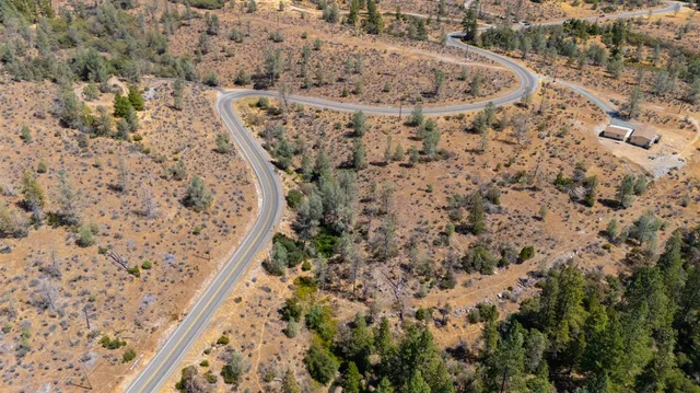 a view of a forest with mountains in the background