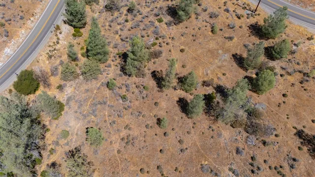 a view of a bird bath room