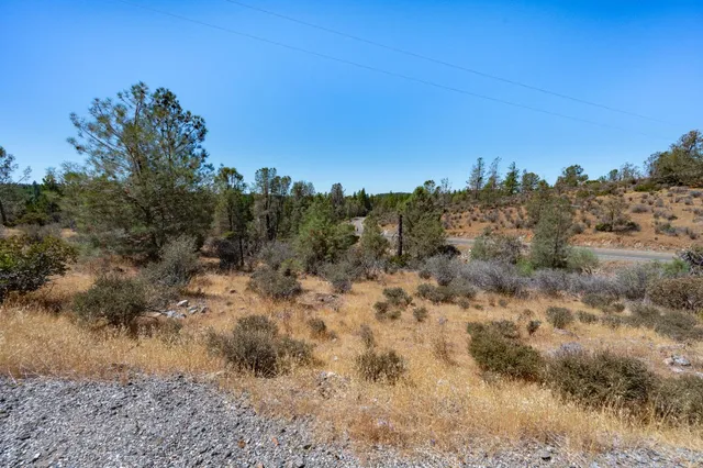 a view of a dry yard with trees in the background