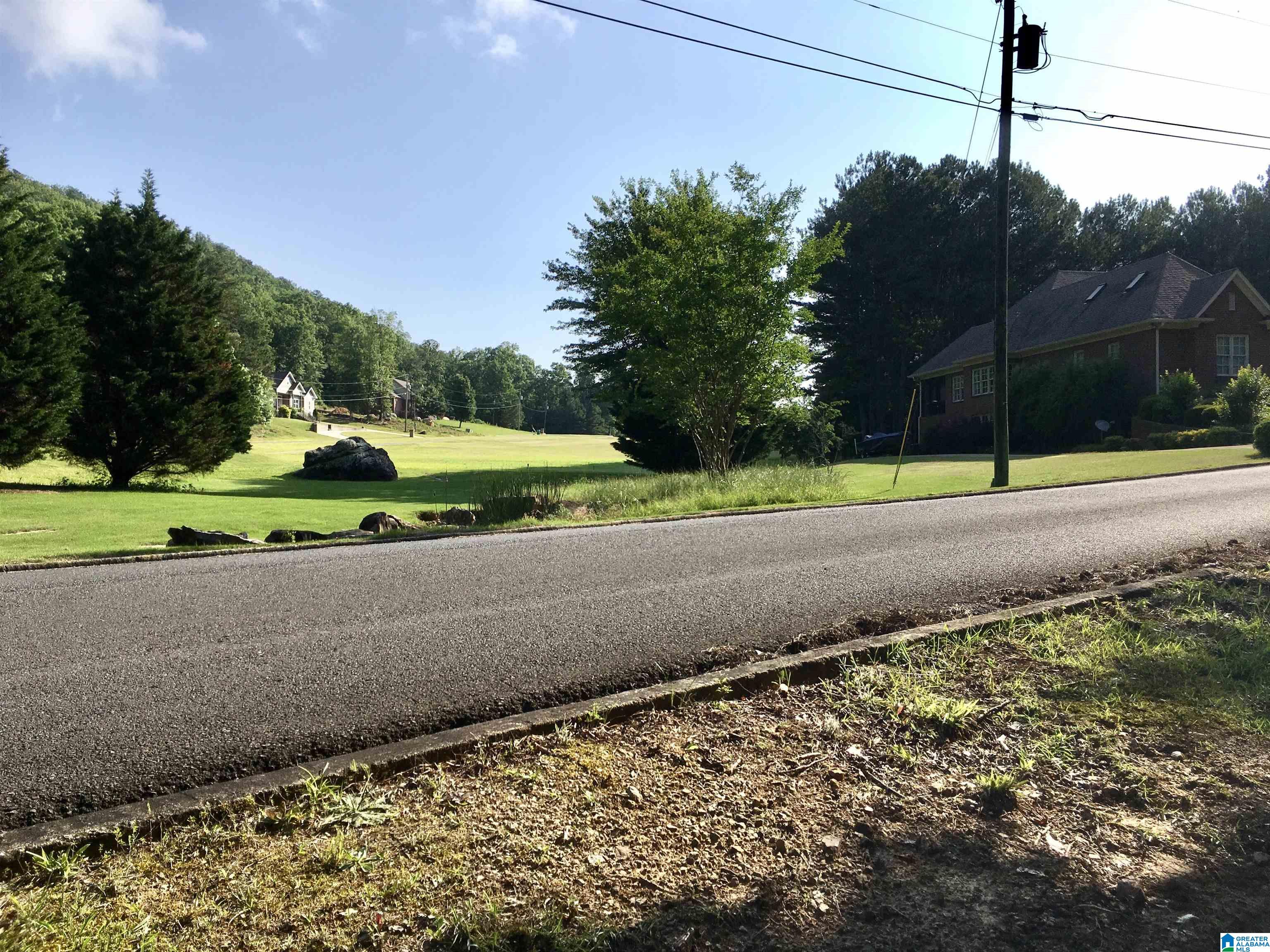 0 Quail Ridge Road, Unit 1 Oneonta, AL 35121 - Photo 20 of 29