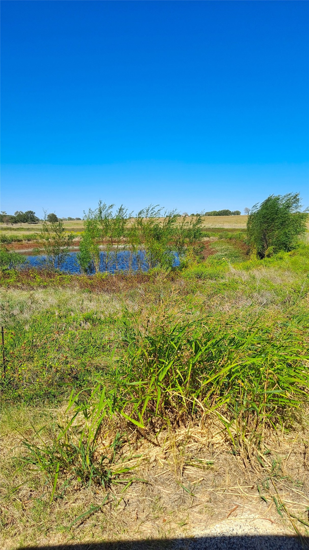 139 County Road 139 Road Burlington, TX 76519 - Photo 11 of 11