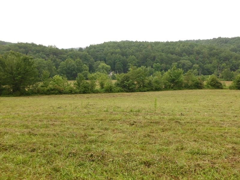 2127 Reliance Road Tellico Plains, TN 37385 - Photo 11 of 40 Gallery Image 11