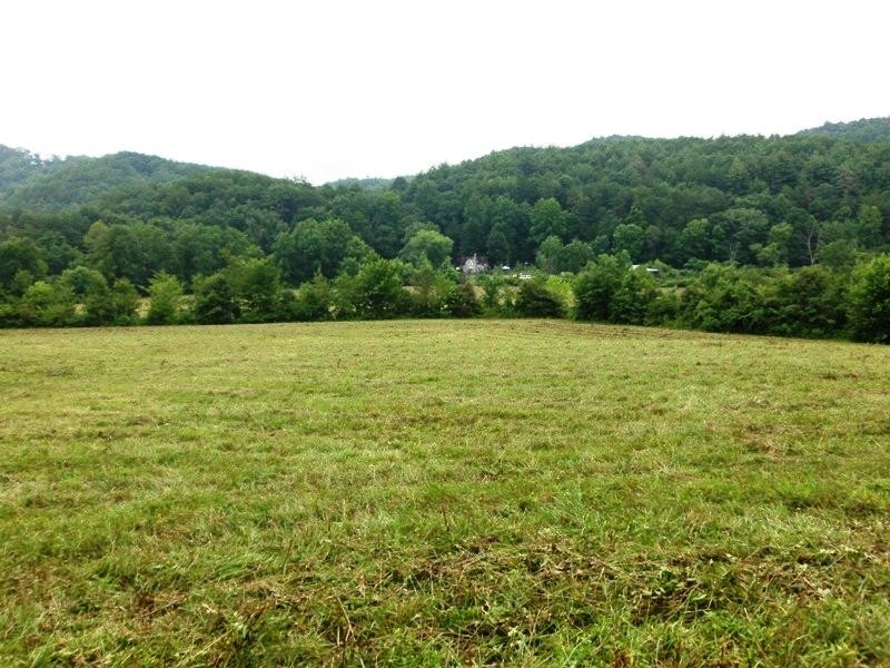 2127 Reliance Road Tellico Plains, TN 37385 - Photo 13 of 40 Gallery Image 13