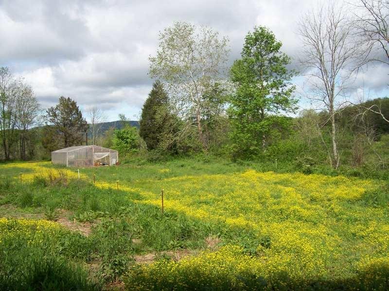 2127 Reliance Road Tellico Plains, TN 37385 - Photo 8 of 40 Gallery Image 8