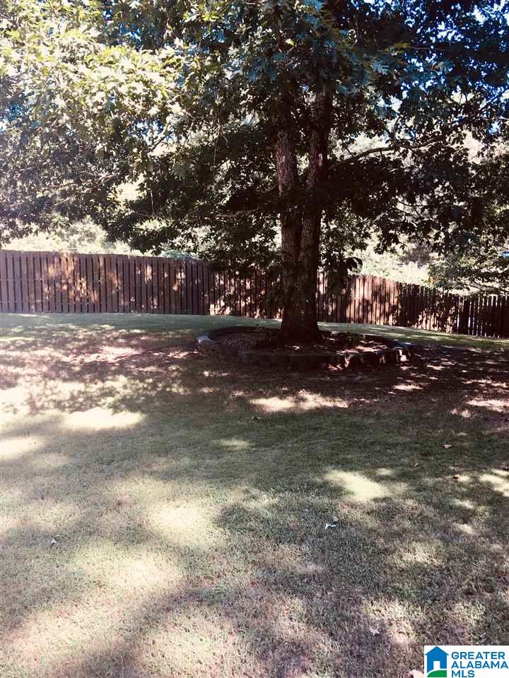 864 Red Valley Road Remlap, AL 35133 - Photo 21 of 22