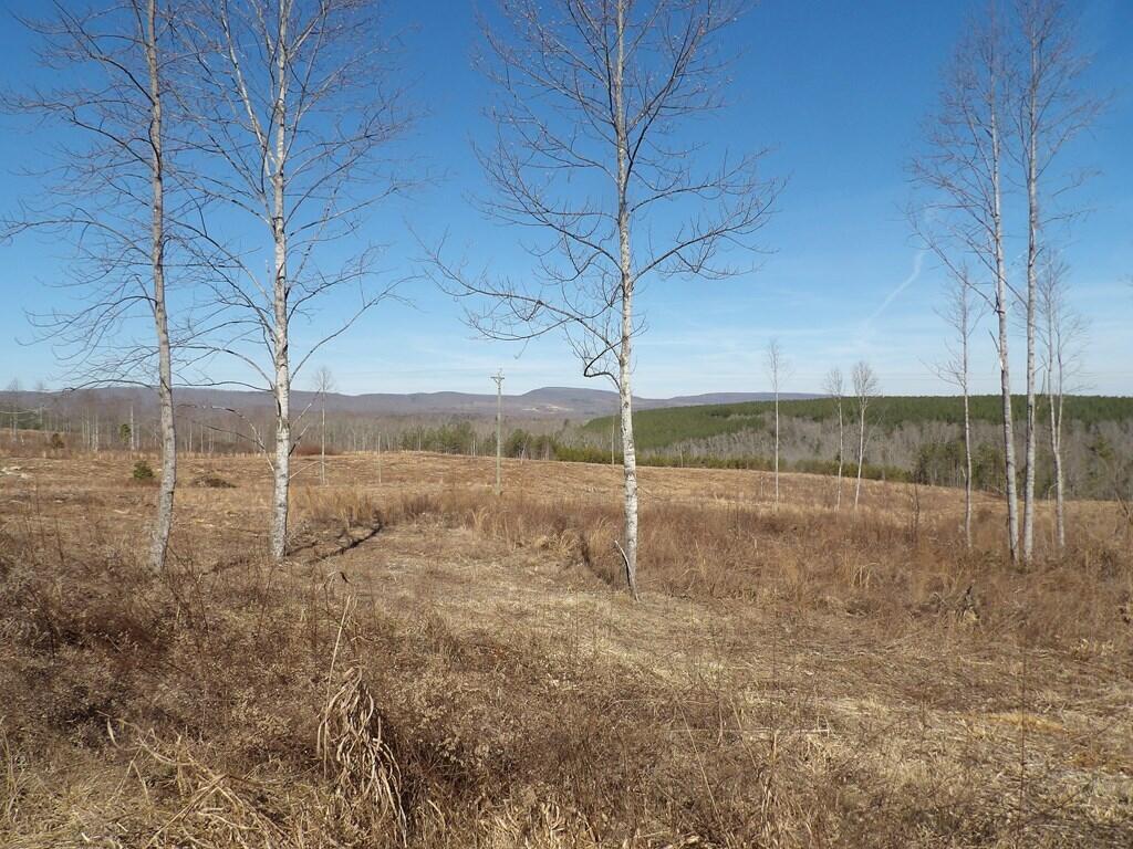 Lot 5 Shut In Gap Road, Unit 5 Spring City, TN 37381 - Photo 1 of 8 20220280_9