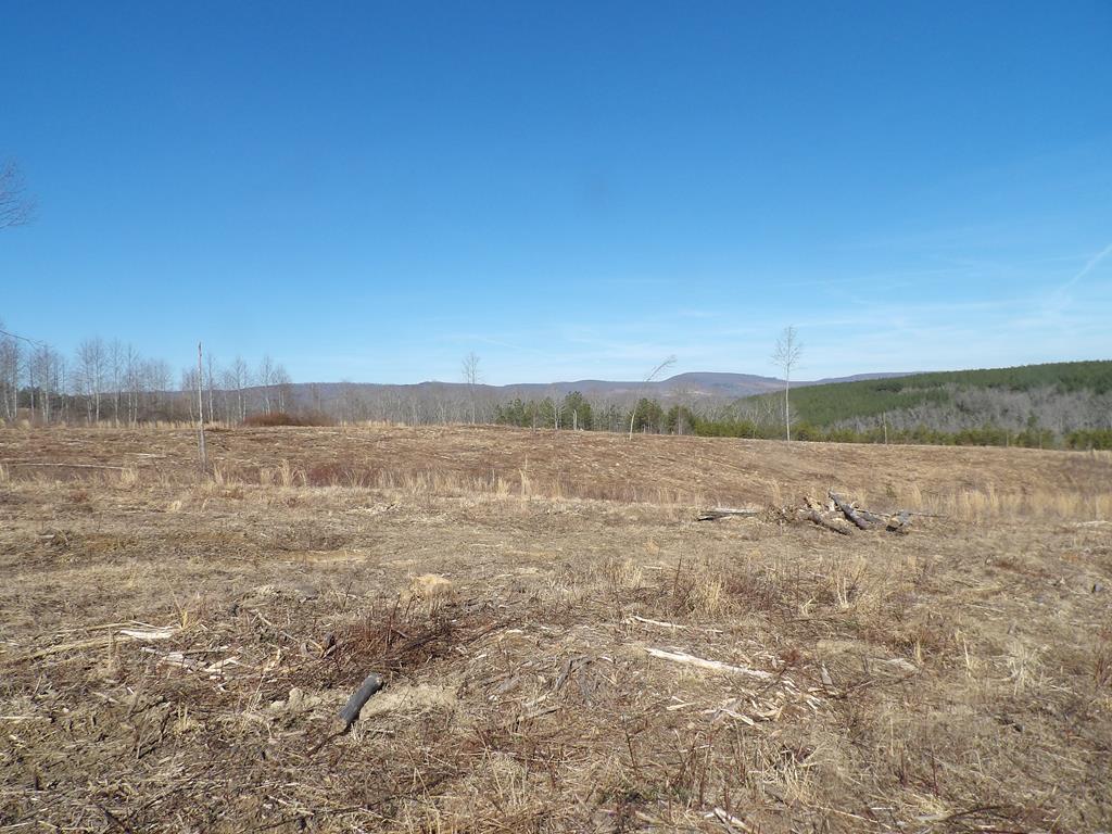 Lot 5 Shut In Gap Road, Unit 5 Spring City, TN 37381 - Photo 2 of 8 20220280_0