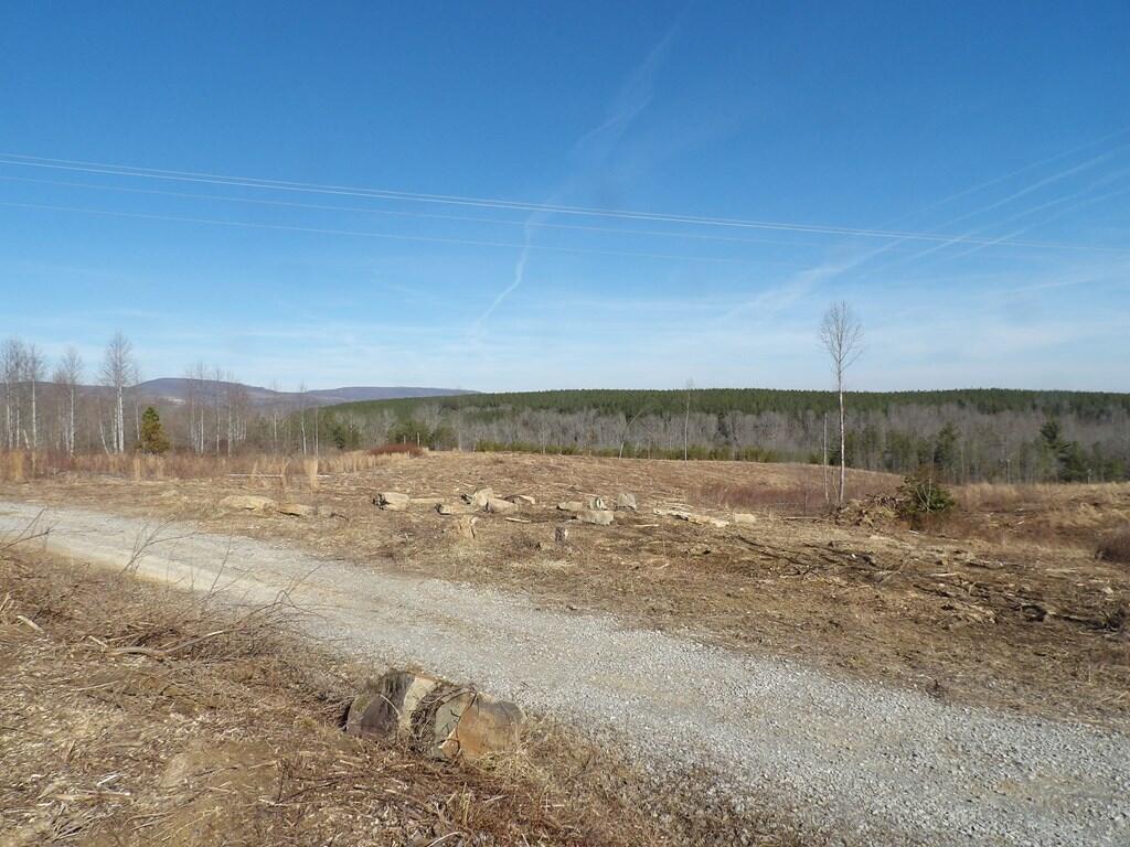 Lot 5 Shut In Gap Road, Unit 5 Spring City, TN 37381 - Photo 4 of 8 20220280_8