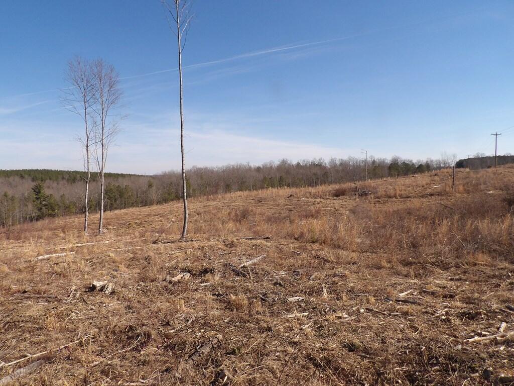 Lot 5 Shut In Gap Road, Unit 5 Spring City, TN 37381 - Photo 5 of 8 20220280_11
