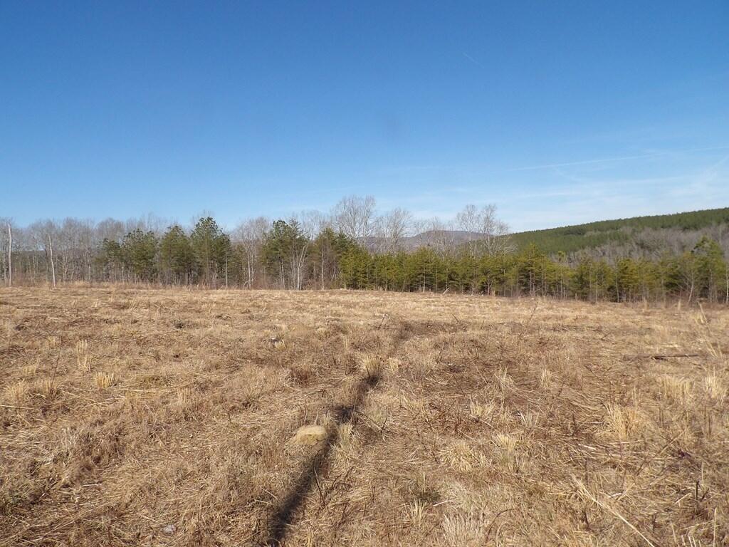 Lot 5 Shut In Gap Road, Unit 5 Spring City, TN 37381 - Photo 7 of 8 20220280_13
