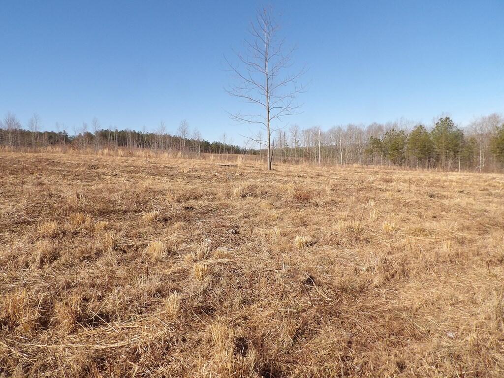 Lot 5 Shut In Gap Road, Unit 5 Spring City, TN 37381 - Photo 8 of 8 20220280_14