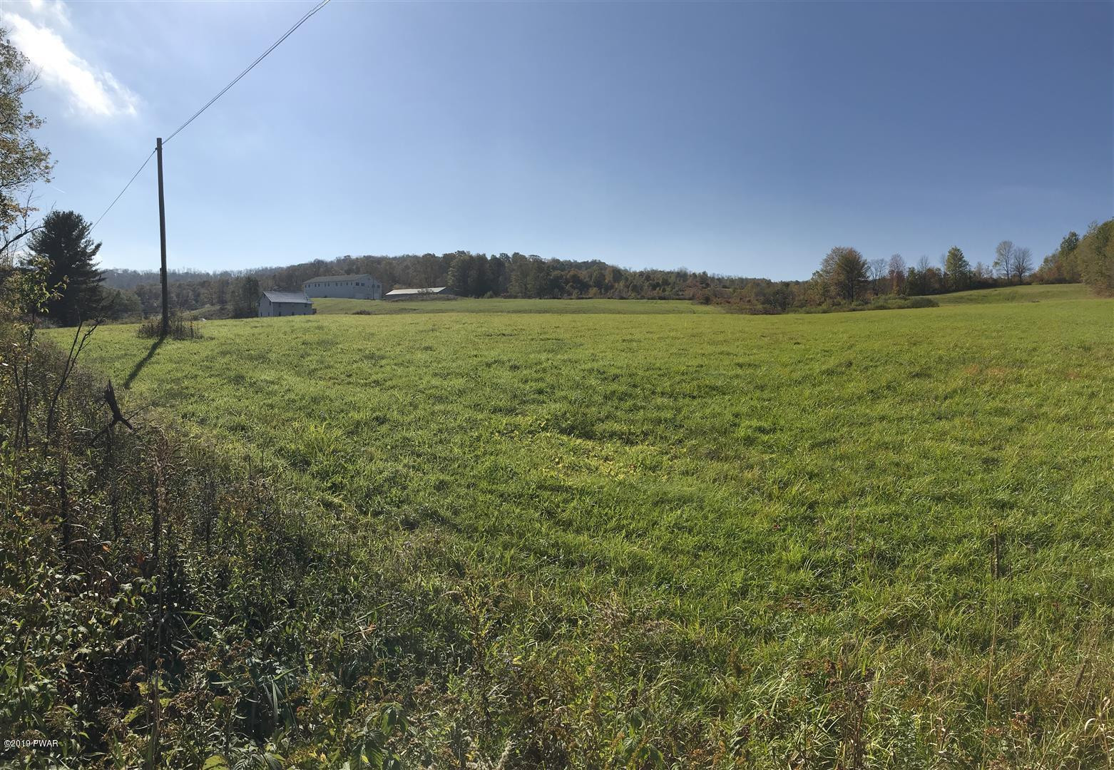 695 Pine Mill Road Equinunk, PA 18417 - Photo 54 of 68