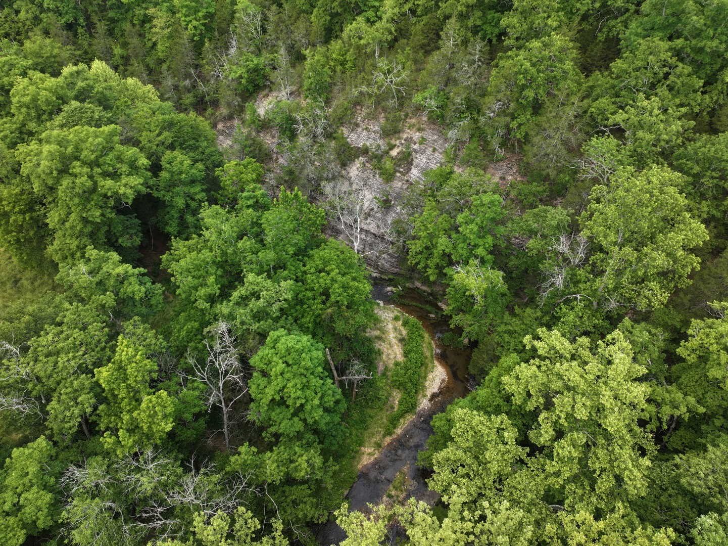 110 Wade Reed Road White Bluff, TN 37187 - Photo 23 of 80