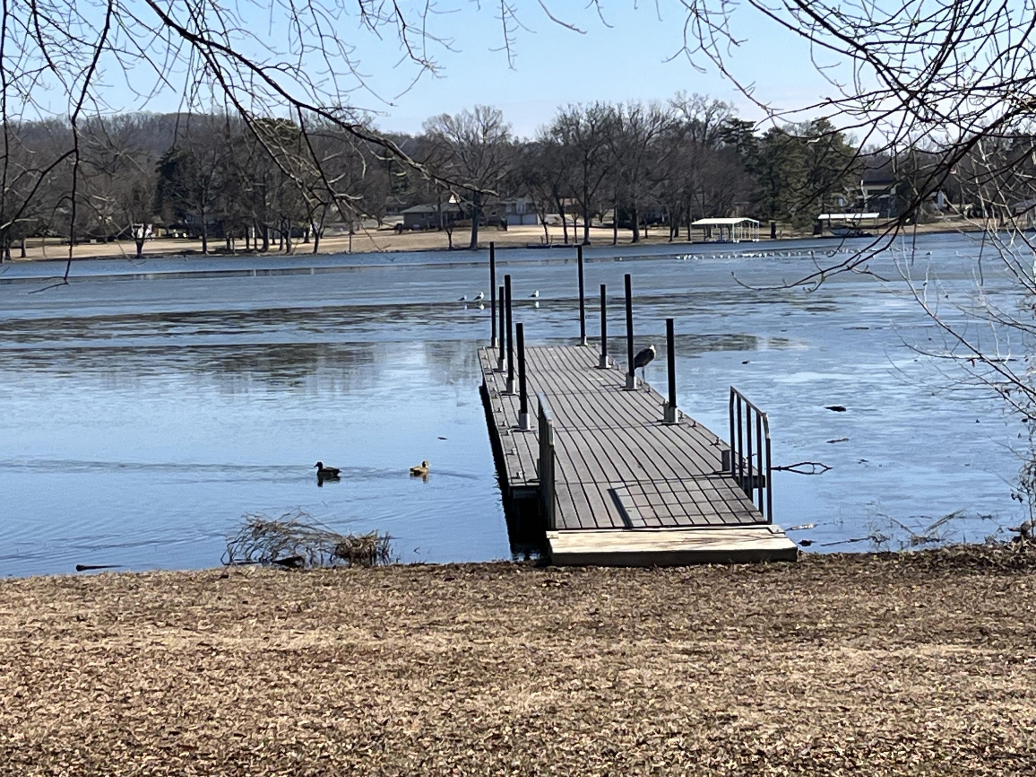 250 Sanders Ferry Road, Unit 21 Hendersonville, TN 37075 - Photo 2 of 32