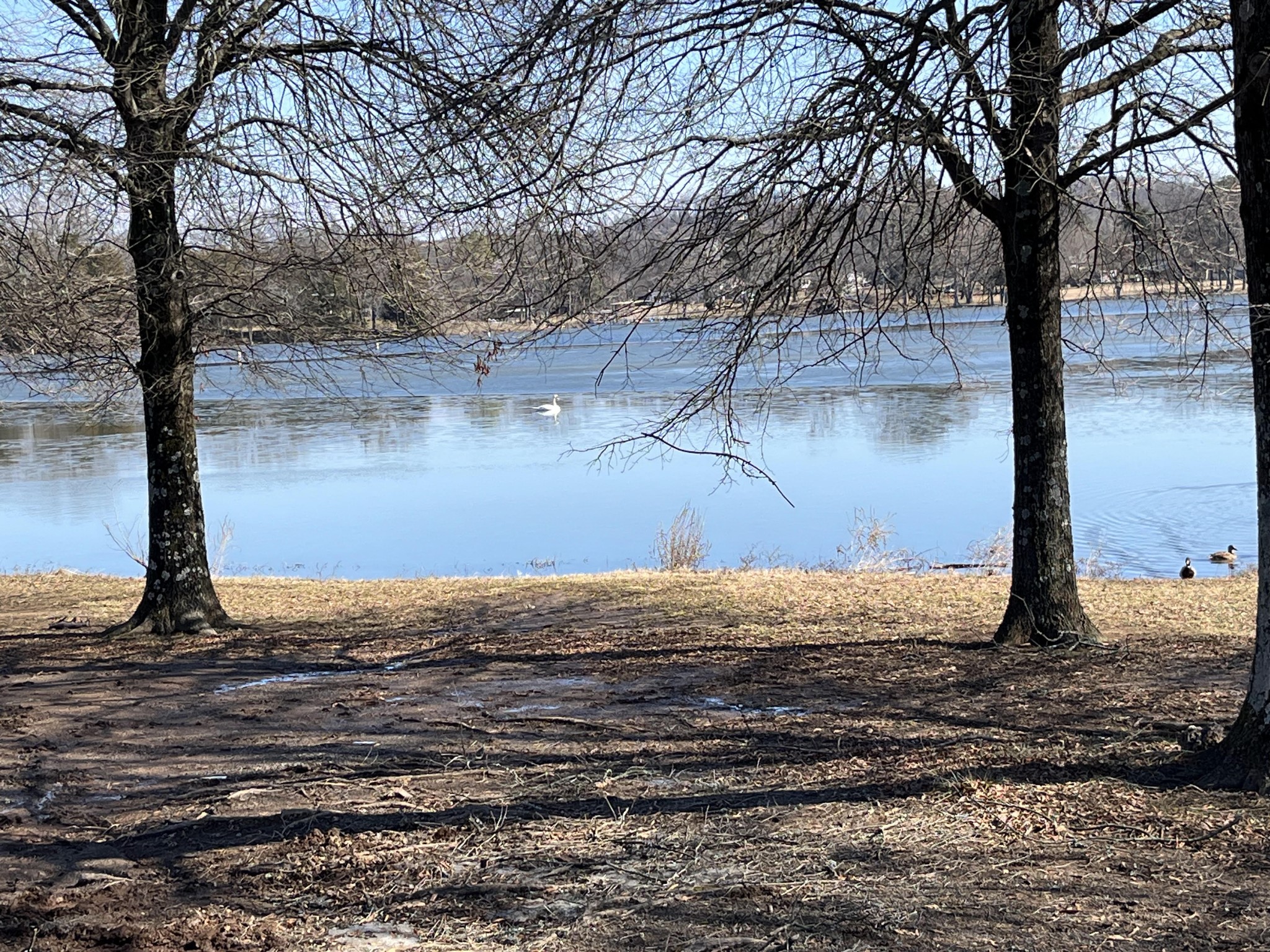 250 Sanders Ferry Road, Unit 21 Hendersonville, TN 37075 - Photo 29 of 32