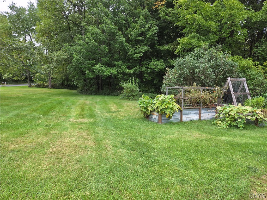 6931 Chases Lake Road Watson, NY 13343 - Photo 28 of 35 Gallery Image 28