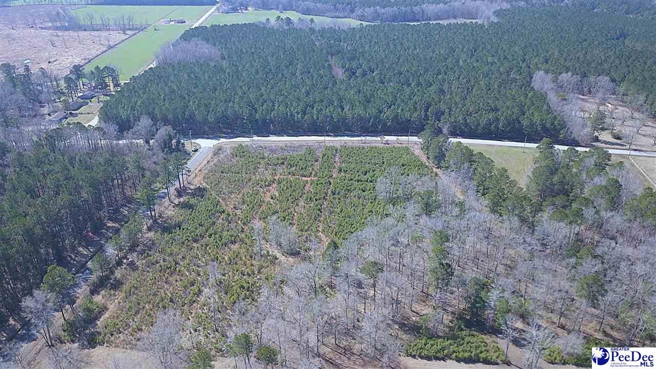 Tbd Huggins Road Lake City, SC 29560 - Photo 6 of 12 Gallery Image 6