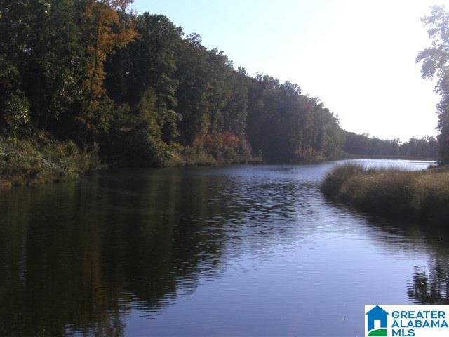 1091 Greendale Drive Helena, AL 35022 - Photo 4 of 7