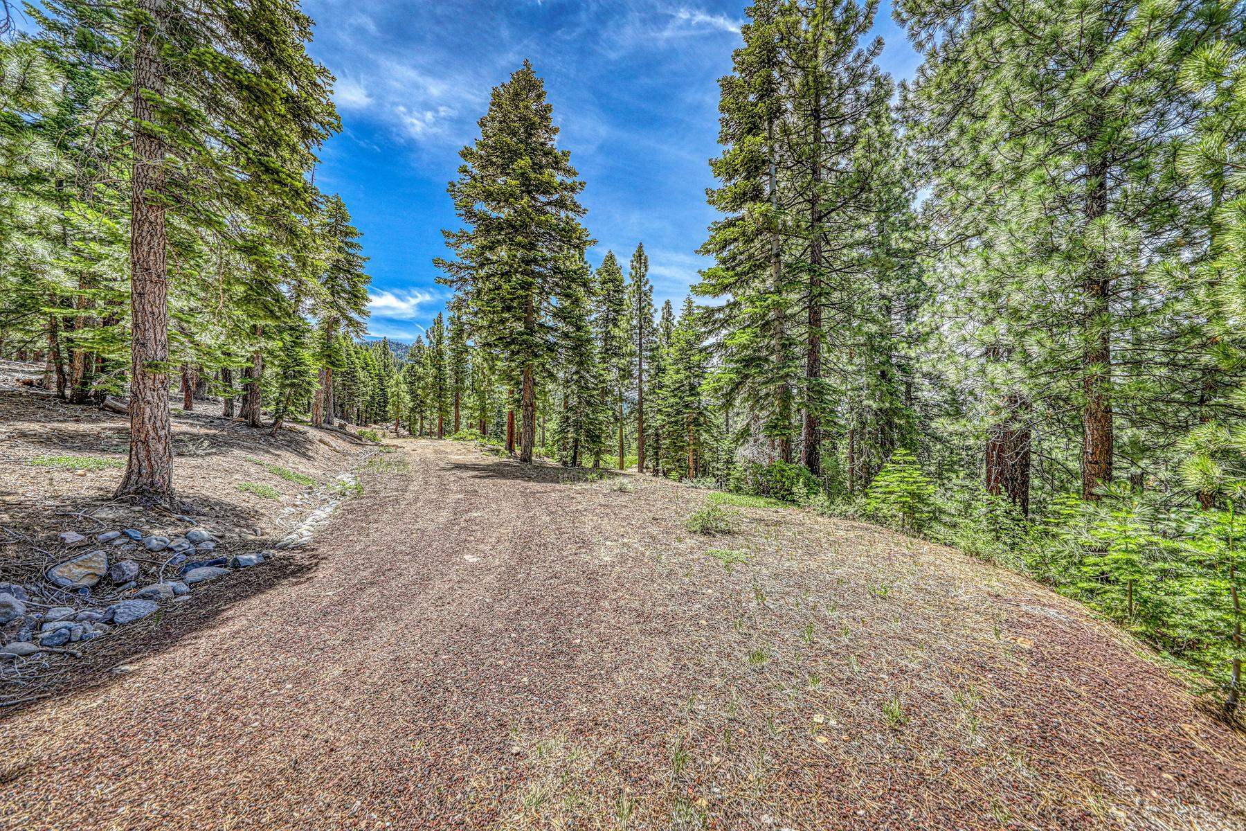 16145 Martis Peak Road Truckee, CA 96161 - Photo 6 of 21