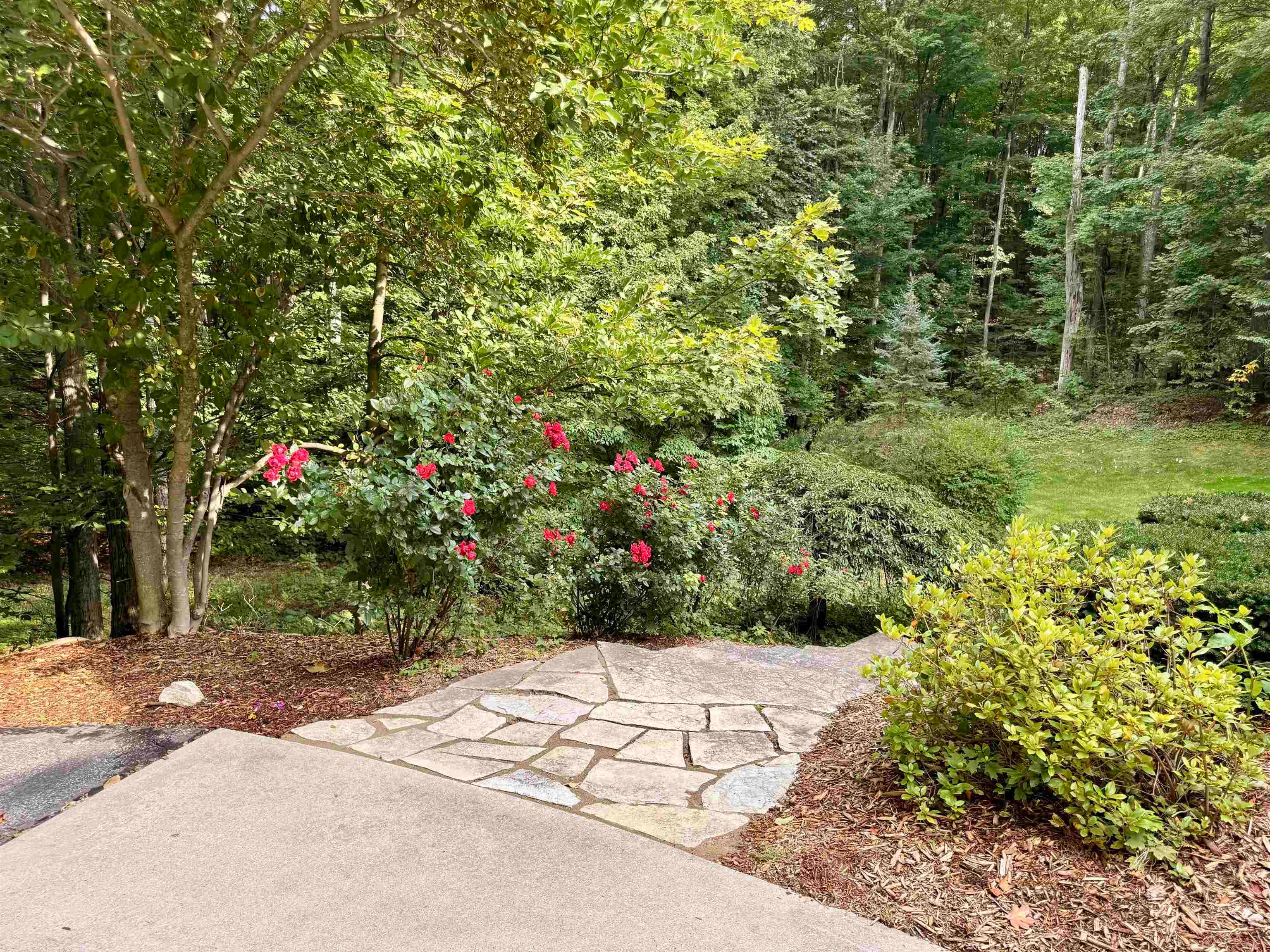 6788 East Hoxie Road Cedar, MI 49621 - Photo 46 of 47 Gallery Image 46