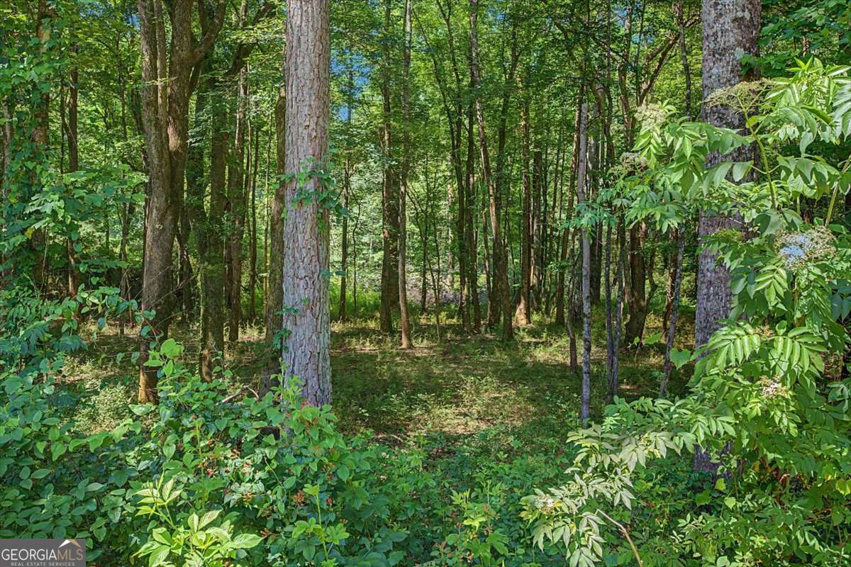 1381 Star Point Road Carrollton, GA 30116 - Photo 46 of 56