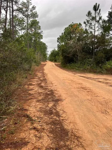 a view of a yard with a tree