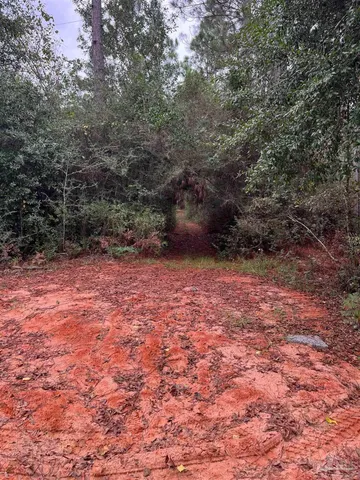 a view of a yard with a tree