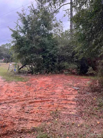 a view of backyard with green space