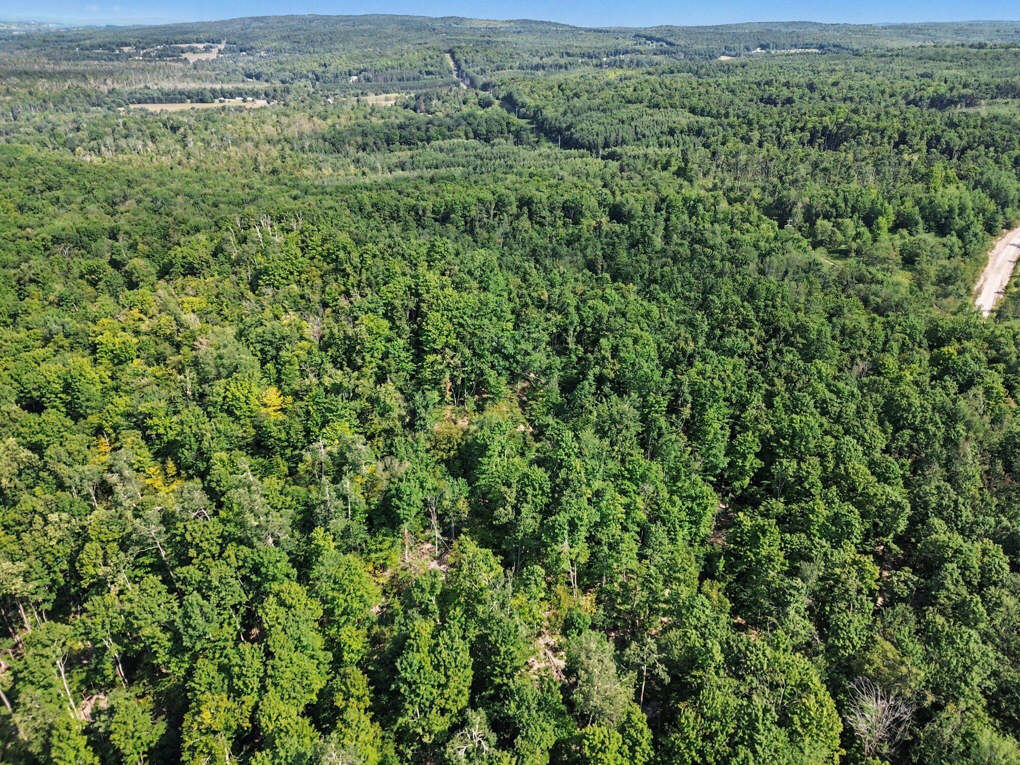 0 Padgett Road Boyne Falls, MI 49713 - Photo 7 of 21 005_dji_0424_41