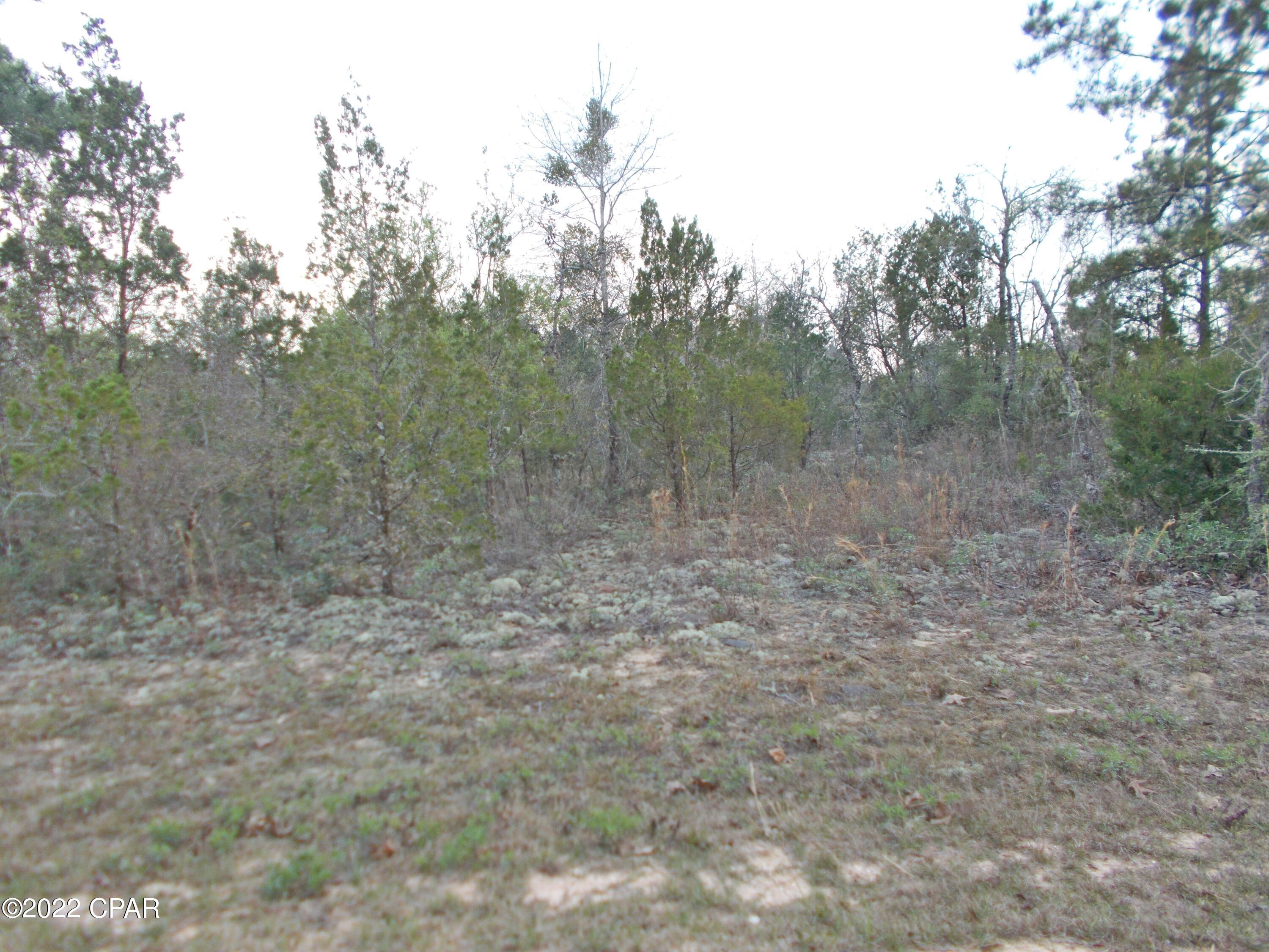Lot 22 Quail Road Marianna, FL 32448 - Photo 2 of 3 Gallery Image 2