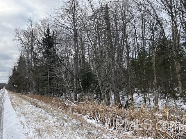 545 South Rd Skandia Mi 49885 Road Skandia, MI 49885 - Photo 3 of 38