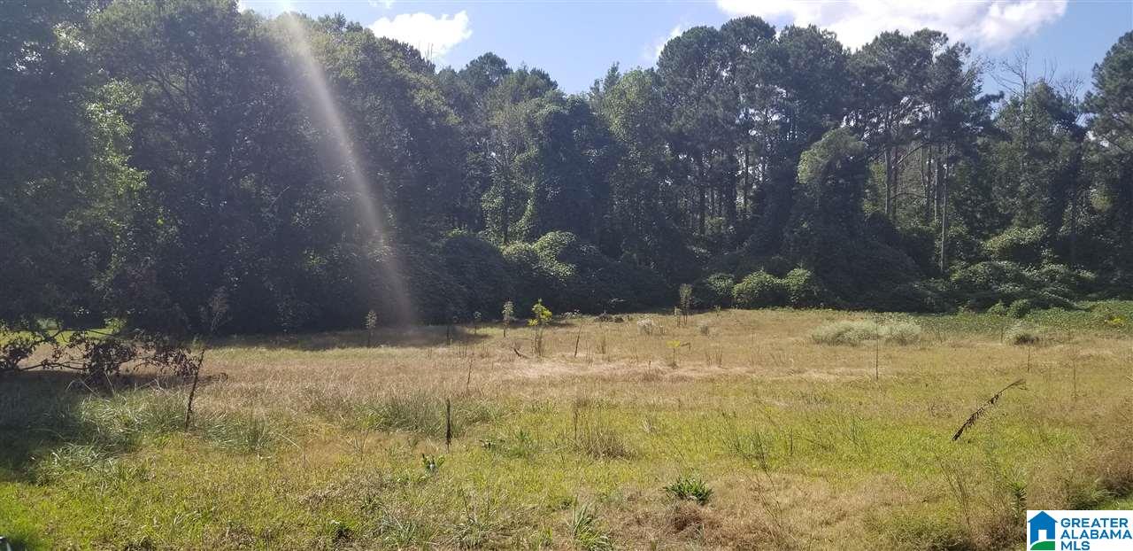 5504-5506 Shady Grove Road, Unit TBD Mount Olive, AL 35117 - Photo 4 of 5