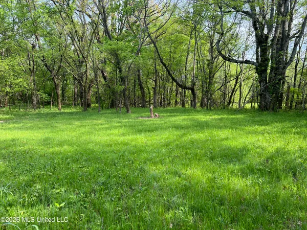 $1,140,000 | 0 Lucius Taylor Road, Como, MS 38619