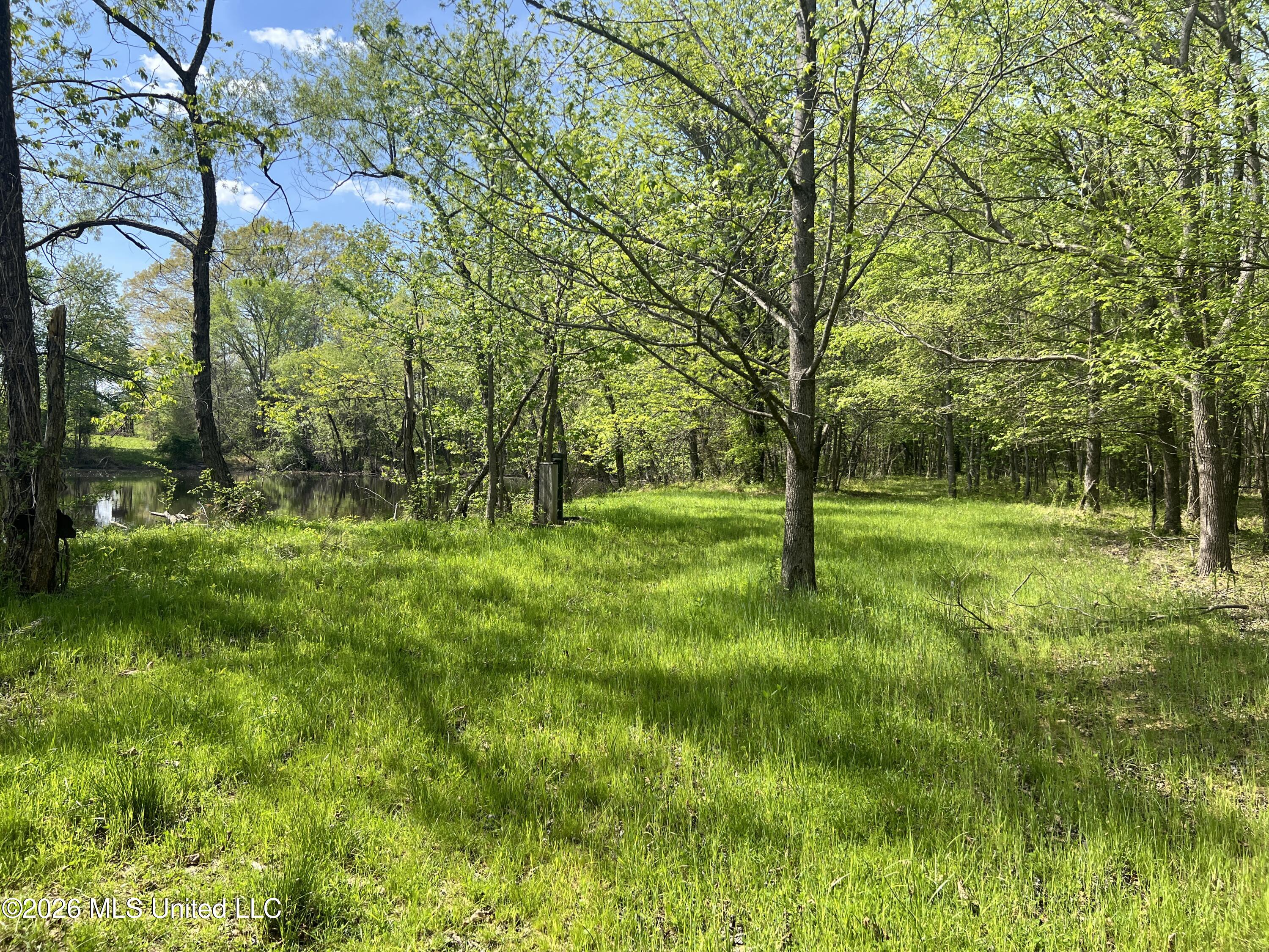 0 Lucius Taylor Road Como, MS 38619 - Photo 13 of 19 Taylor IMG_4485