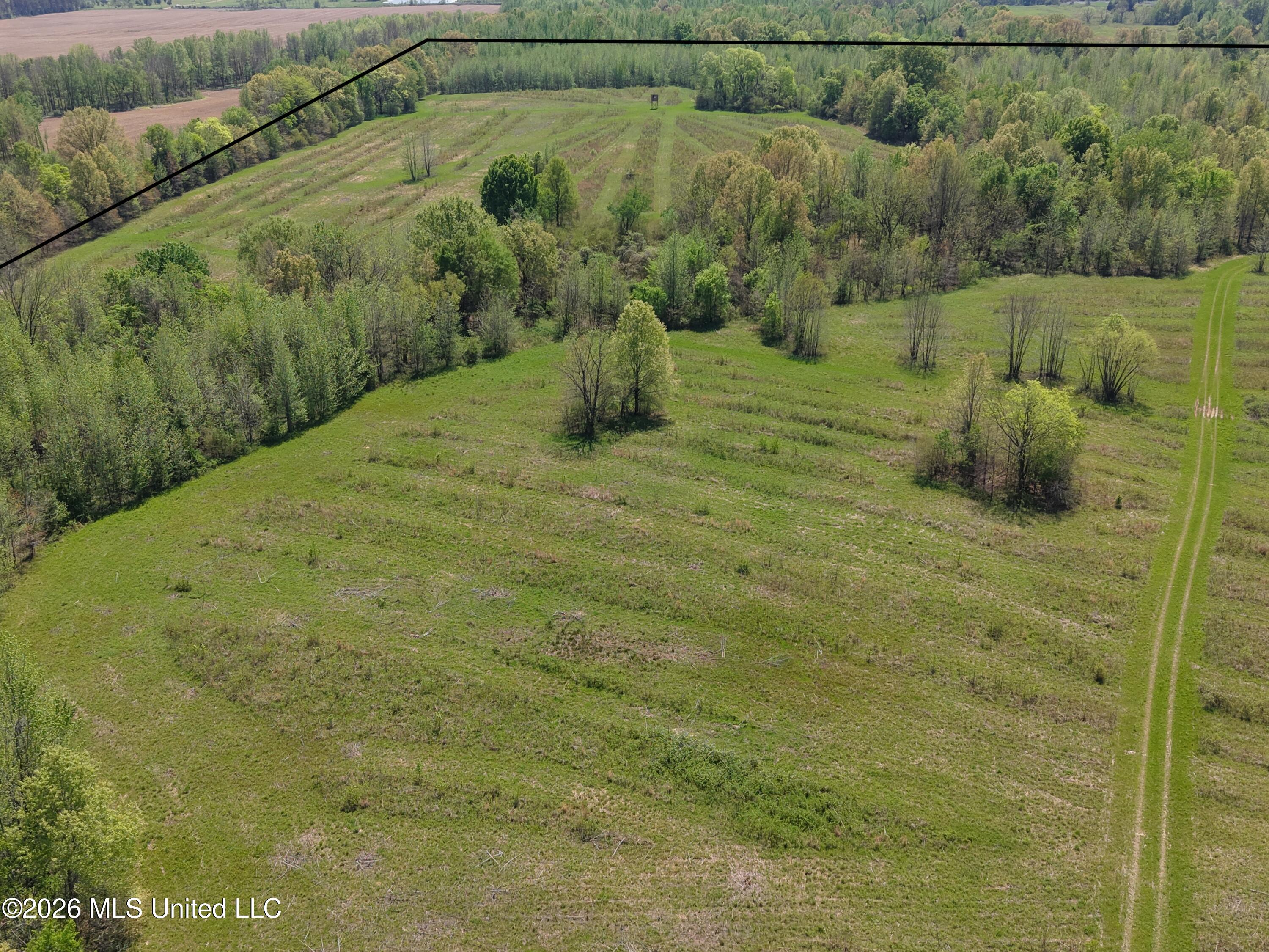 0 Lucius Taylor Road Como, MS 38619 - Photo 18 of 19 Taylor Photo 00035 copy