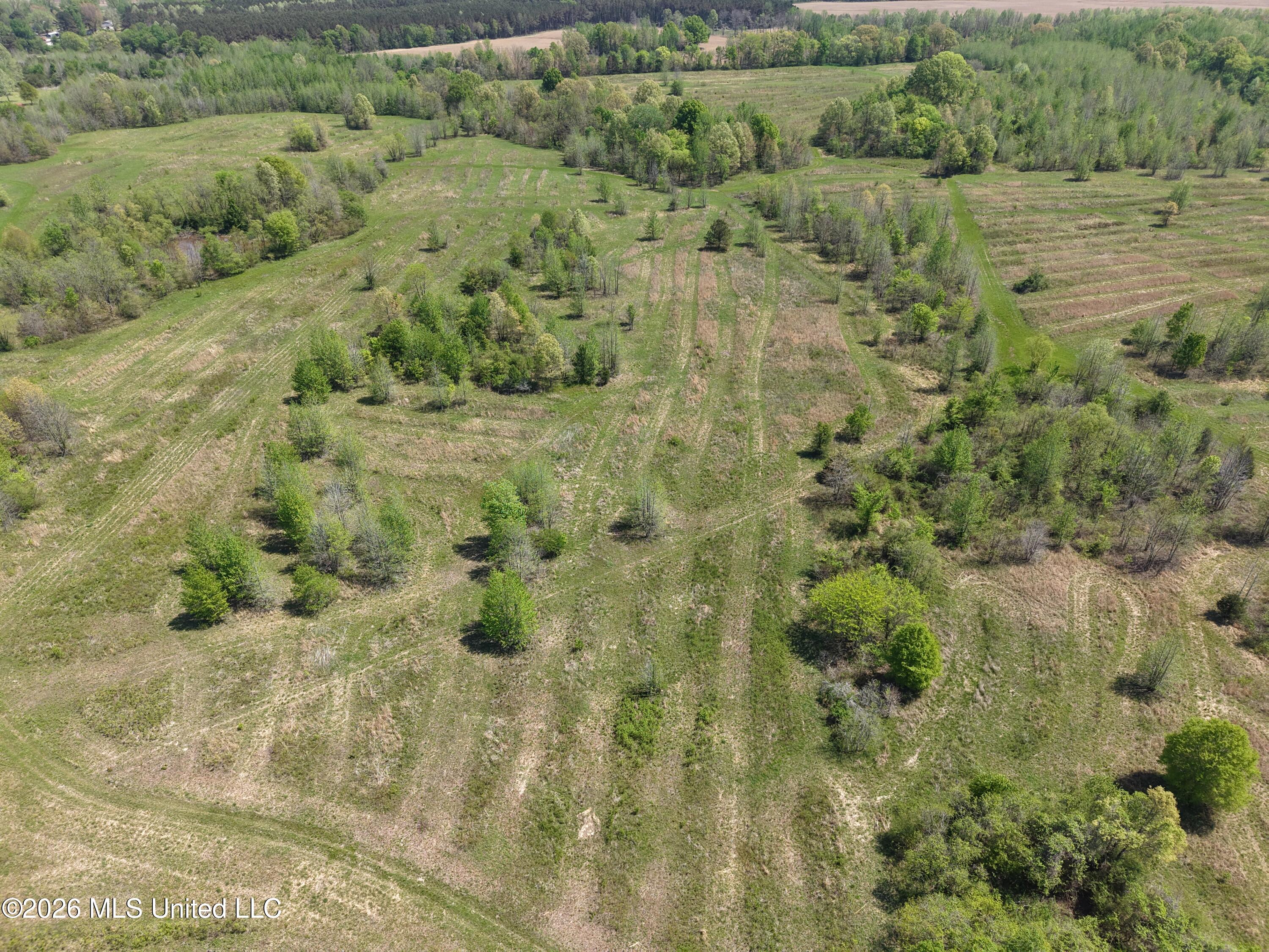 0 Lucius Taylor Road Como, MS 38619 - Photo 6 of 19 Taylor Photo 00045