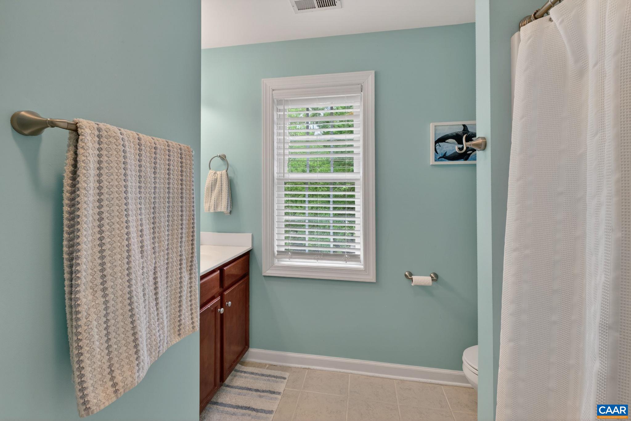 511 Taylor Ridge Way Palmyra, VA 22963 - Photo 29 of 57 a bathroom with a sink and a shower