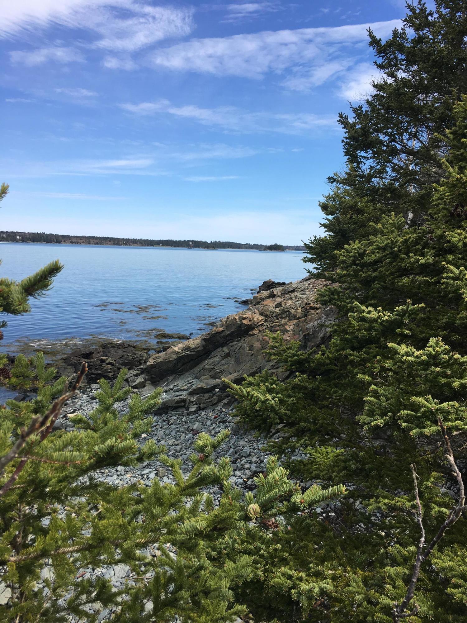 43 Browns Head Light Road Vinalhaven, ME 04863 - Photo 2 of 23 IMG_4634