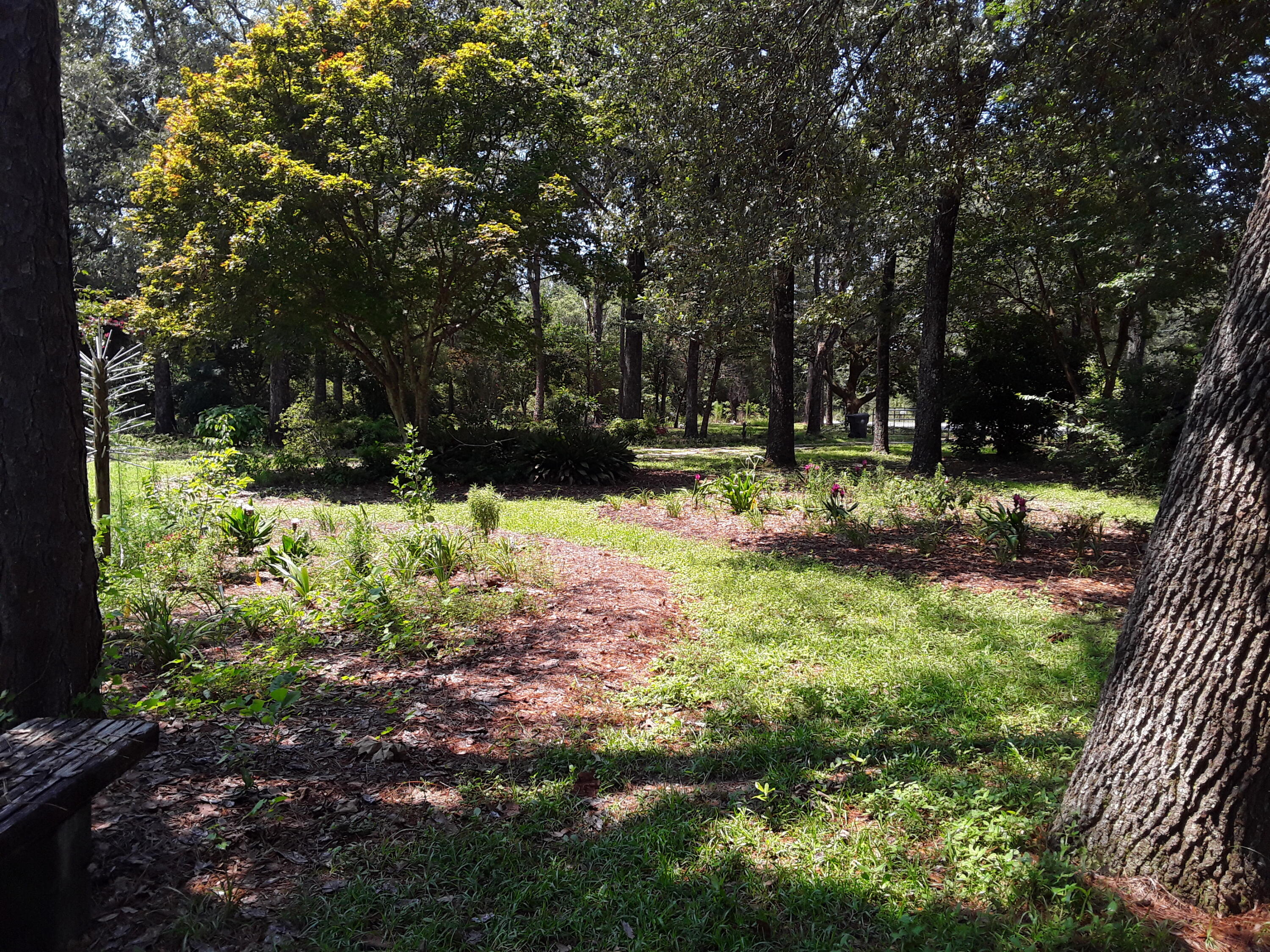 3074 King Lake Road DeFuniak Springs, FL 32433 - Photo 55 of 60 The grounds 6