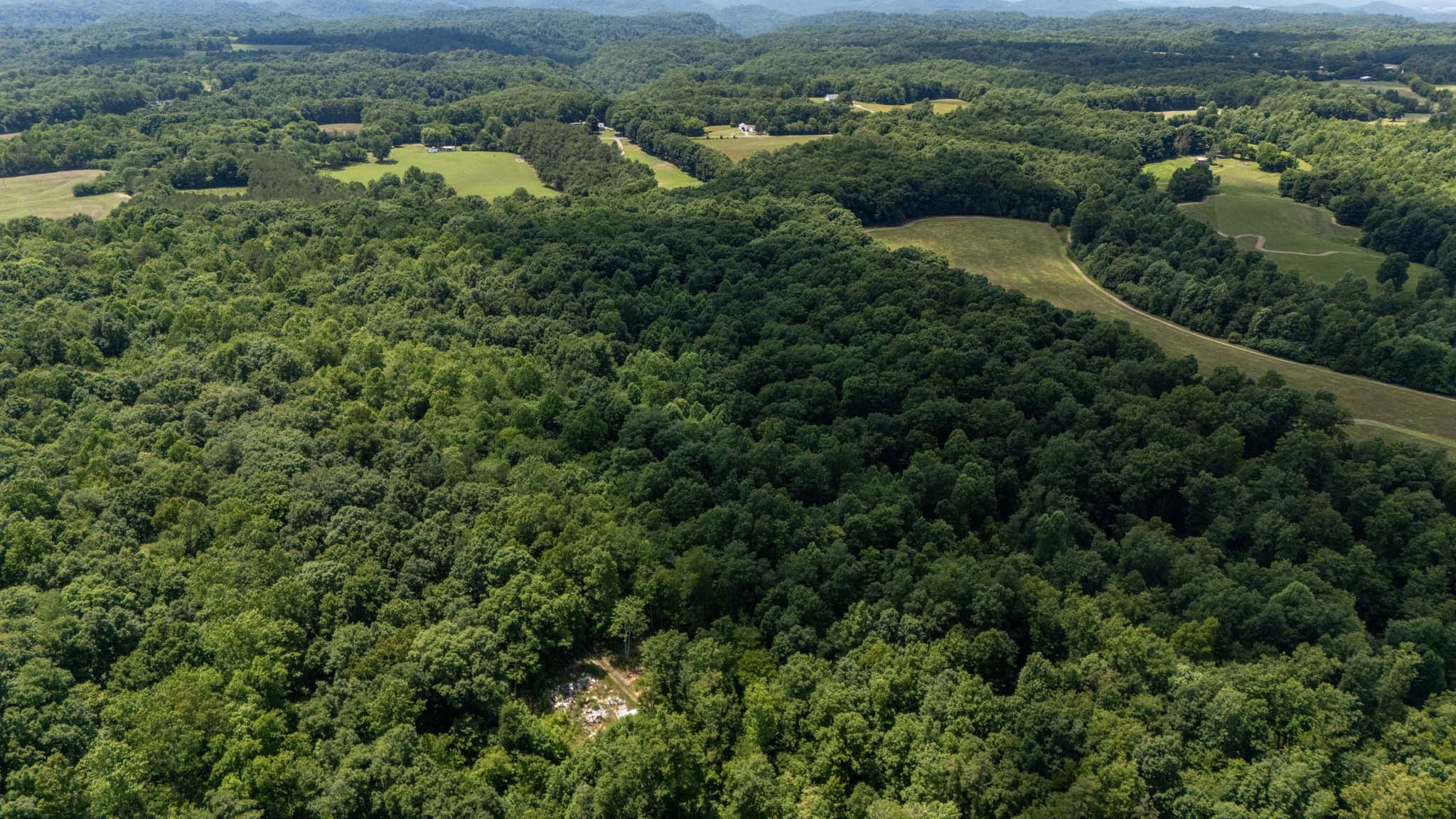 3772 Pea Ridge Road Liberty, TN 37095 - Photo 46 of 52