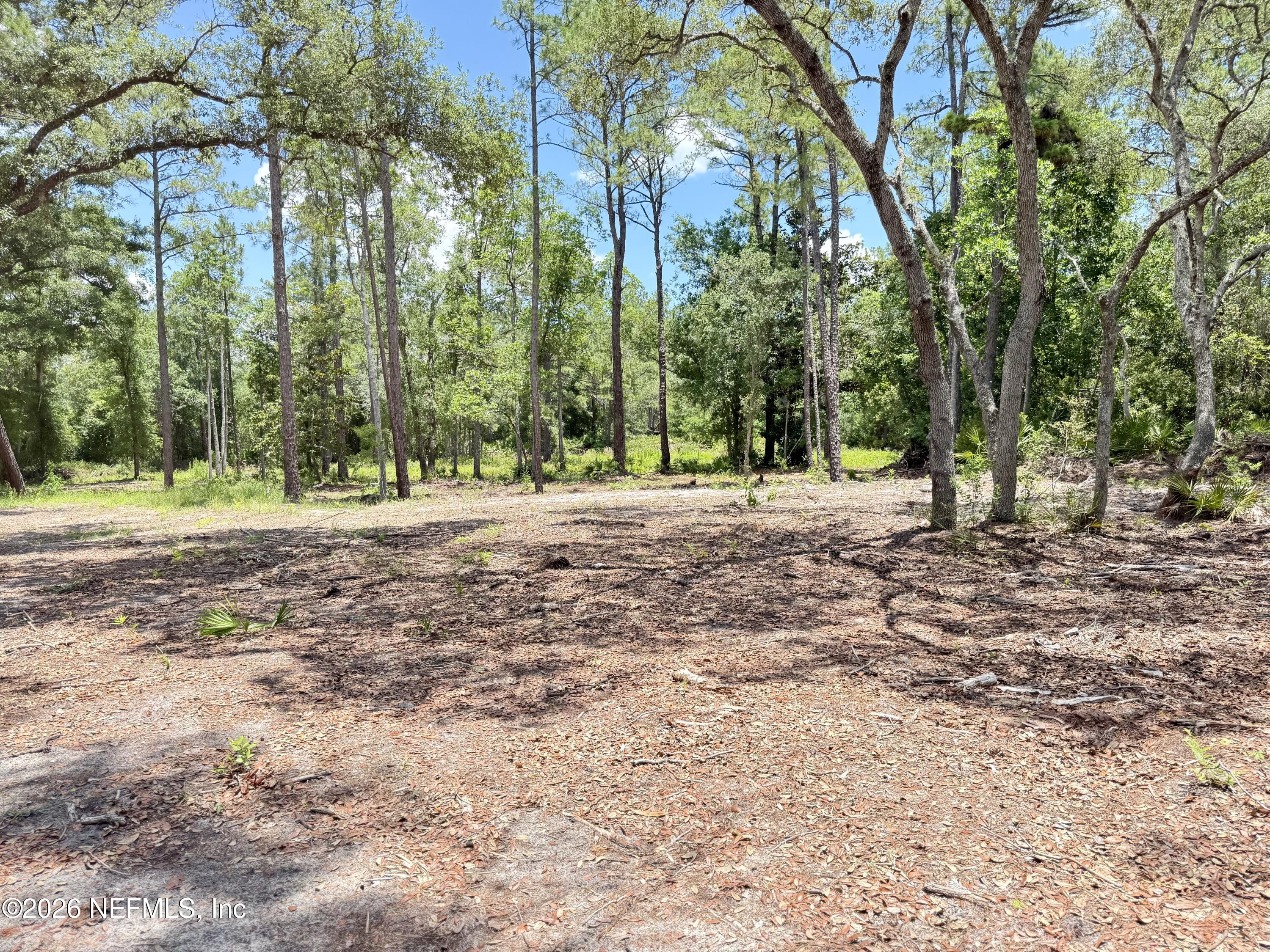 438 Chamberlain Road Satsuma, FL 32189 - Photo 11 of 21 IMG_2963
